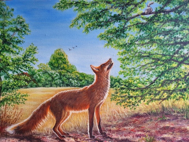  Fox and Squirrel on a summer afternoon