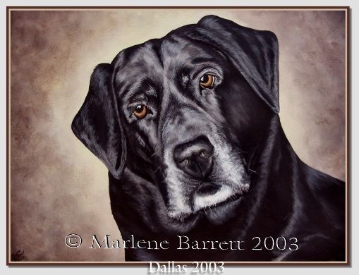 Dallas-commission job example