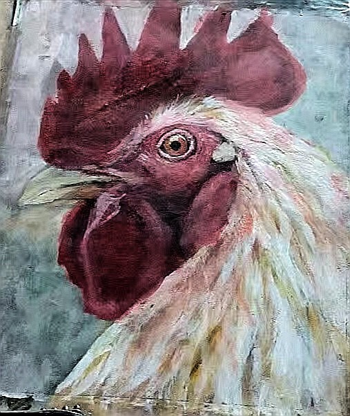 Rooster5
