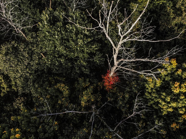 DJI 0055