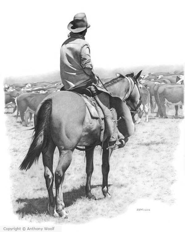 Cattle Drive