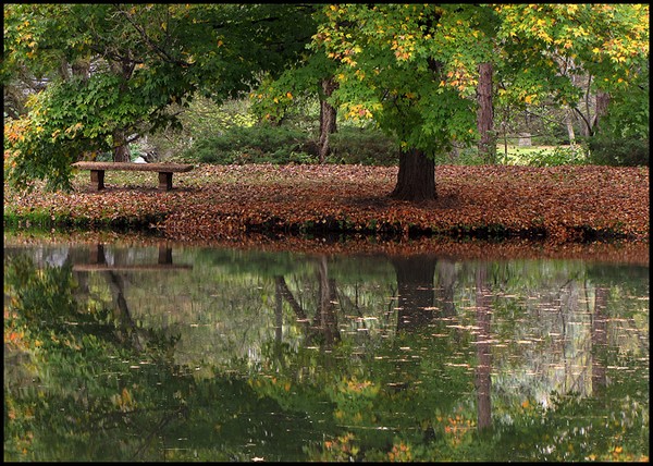 A Peaceful Time