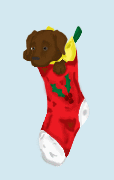 Christmas Gift