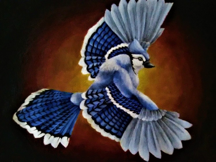 Bluejay
