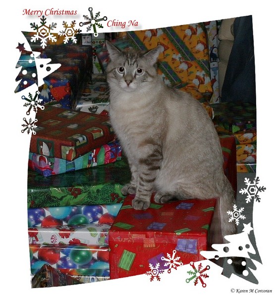 Merry Christmas Ching Na
