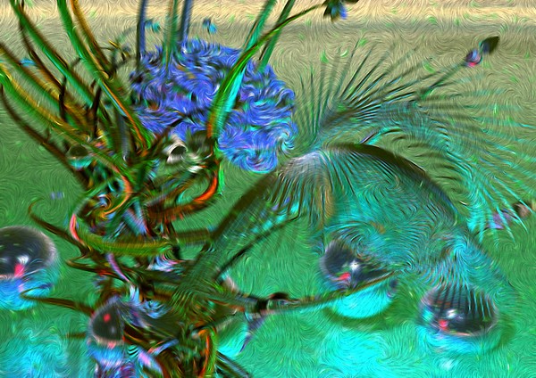 Bleu Rose Transition