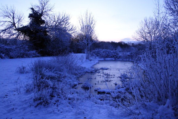Frozen Lands 1