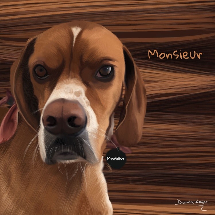 mösyö