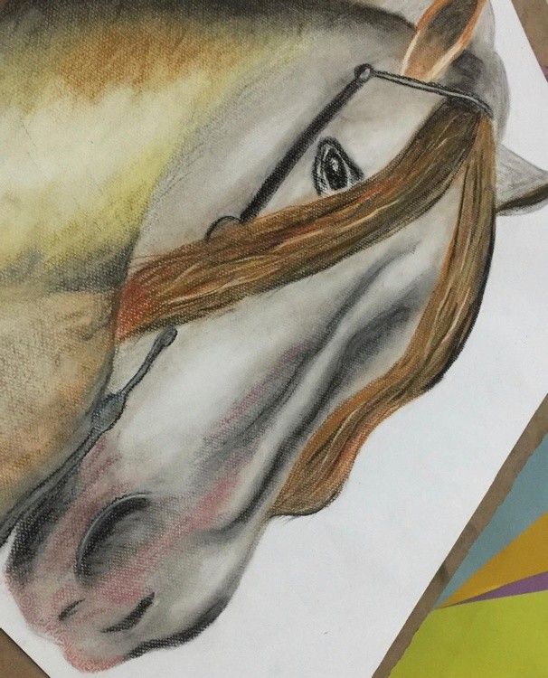 Horse