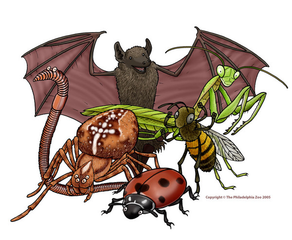 Wanted Pests