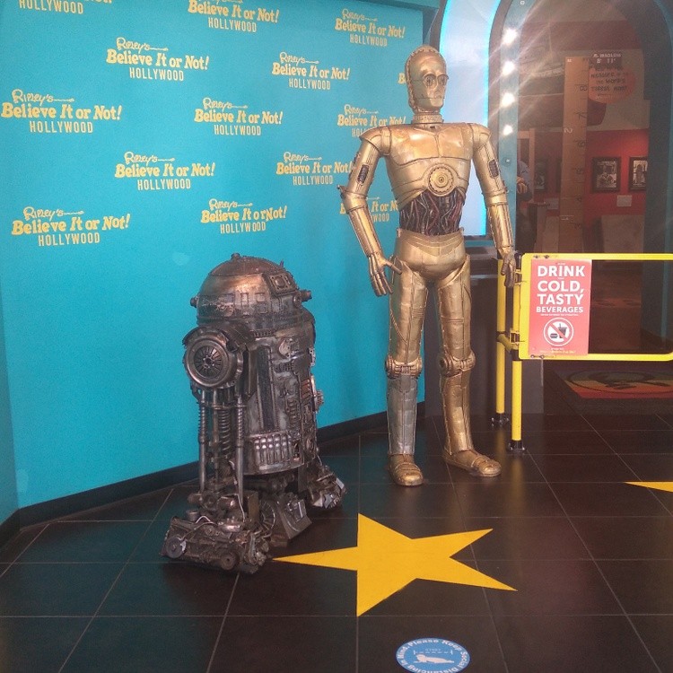 Hollywood Blvd 2