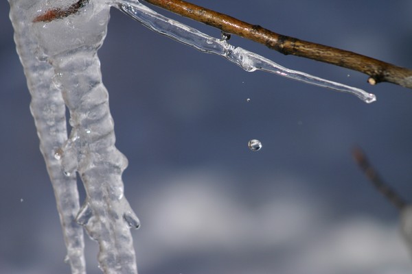 The Much Anticipated Arrival of Spring