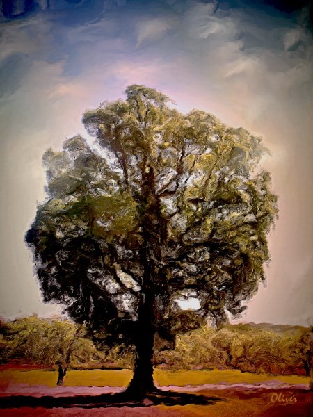 Of Many Seasons