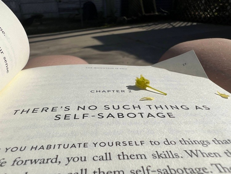 The Art of Self-Improvement