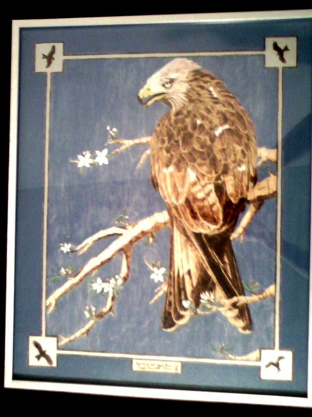 Red Kite and Apple Blossoms
