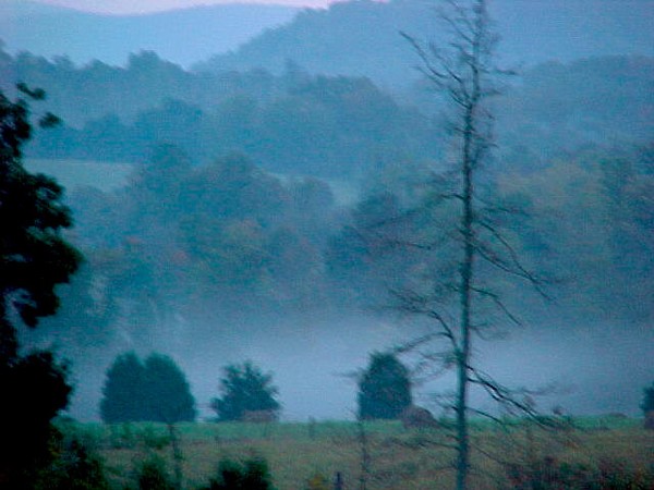 Fog in Mountain Valley