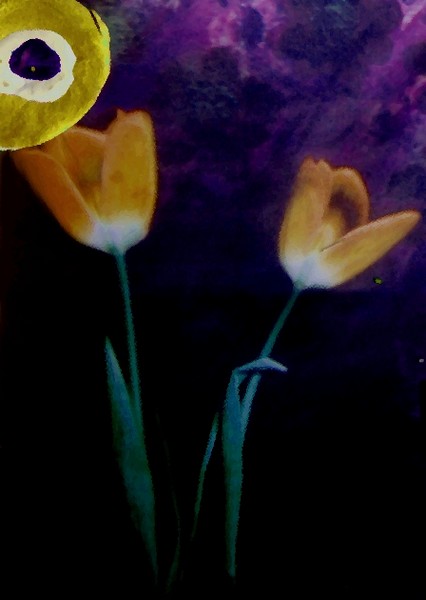 Tulips under the sun
