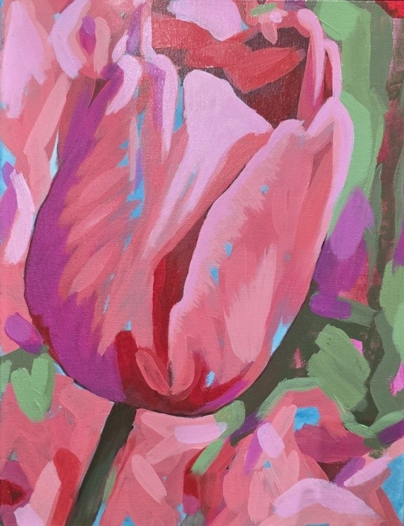 Pink Tulip