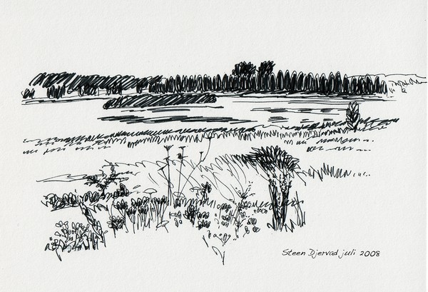 restored lake