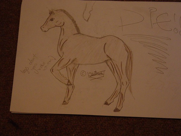 Horse. 