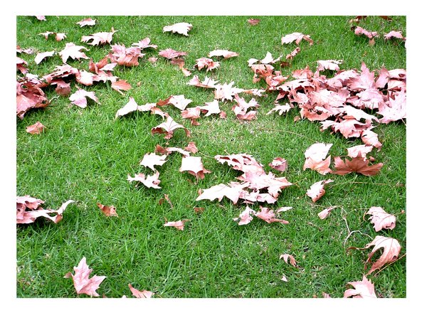 Autumn