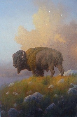 Bison