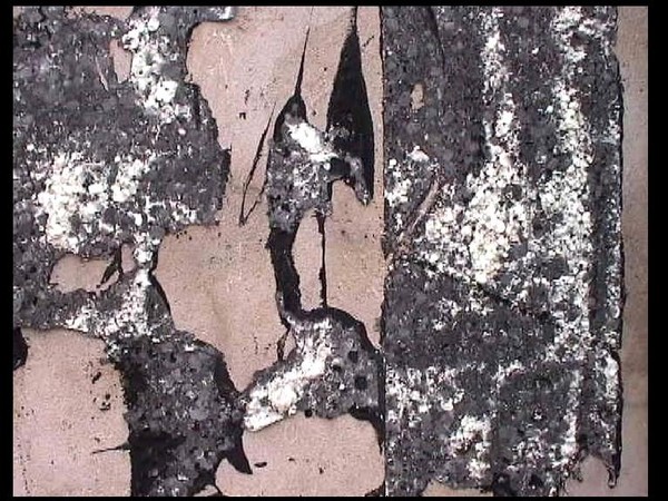 Abstracted from a LIVERPOOL wall in July 2002