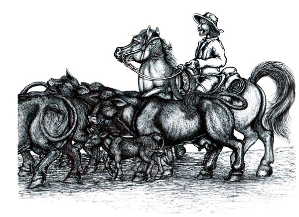 A rancher running his heard