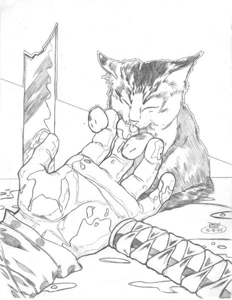 Kitten vs, Ninja