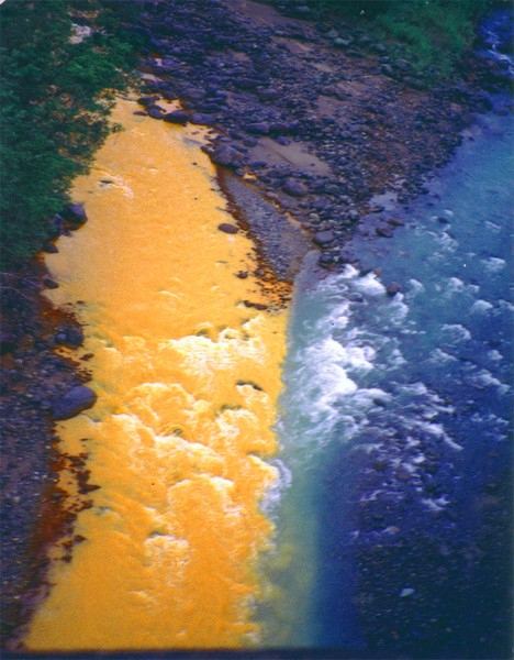 AMAZON RIVER MARRIAGE