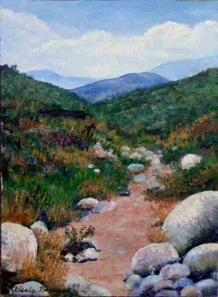 Rocky Path