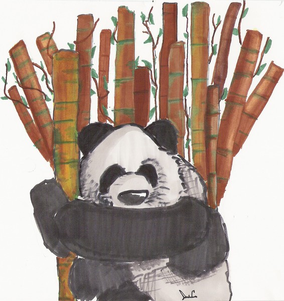 bambo panda