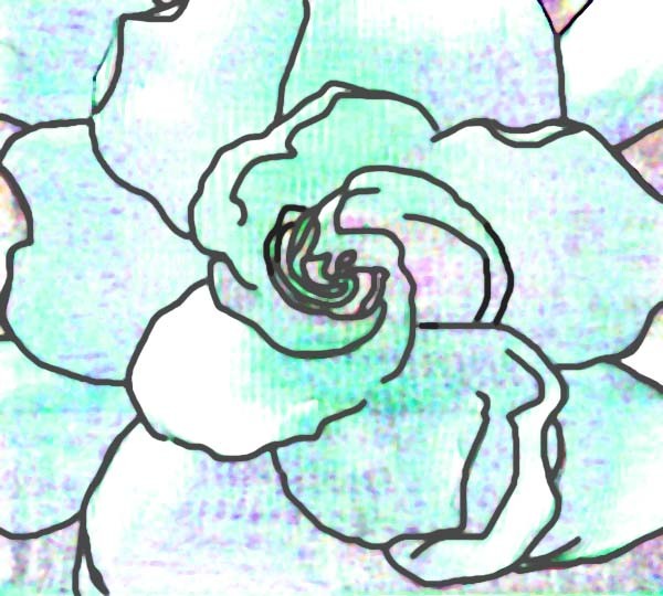 gardenia 2
