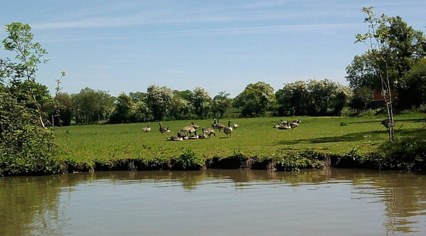 Canalside