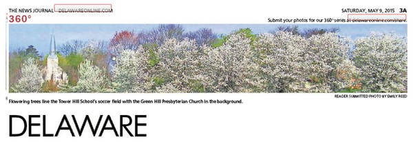 231st News Journal Panorama-Tower Hill Trees