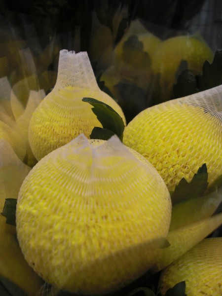 Flowers in Nets
