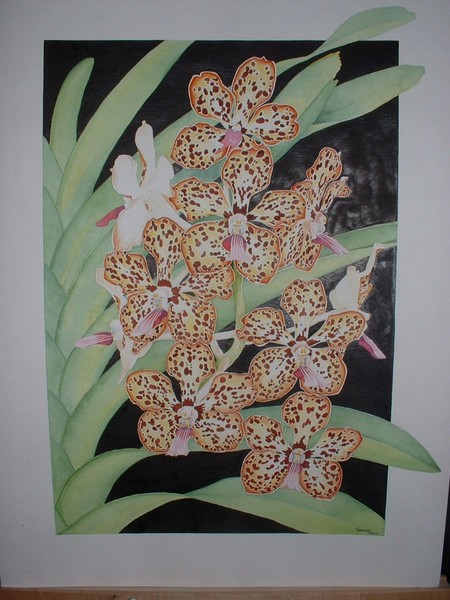 Vanda Motes Toledo Blue