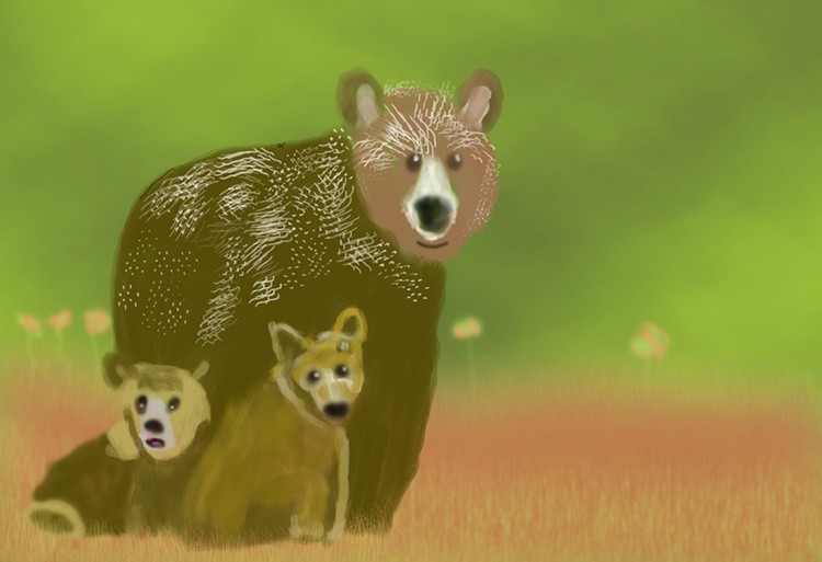 Brown Bear Family   P375
