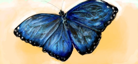 butterfly fly