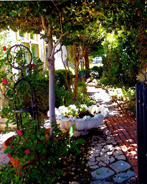 Side Yard Gate View