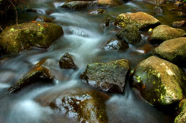 River & Stones