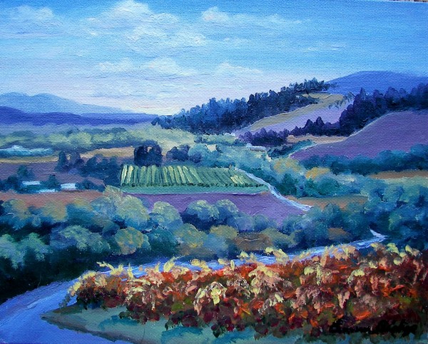 Dry Creek Valley Sunrise