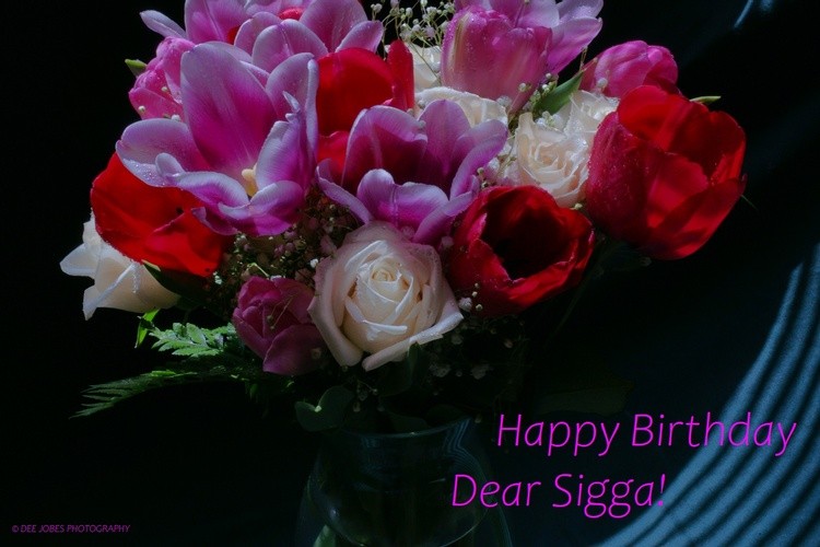 Happy Birthday Sigga!