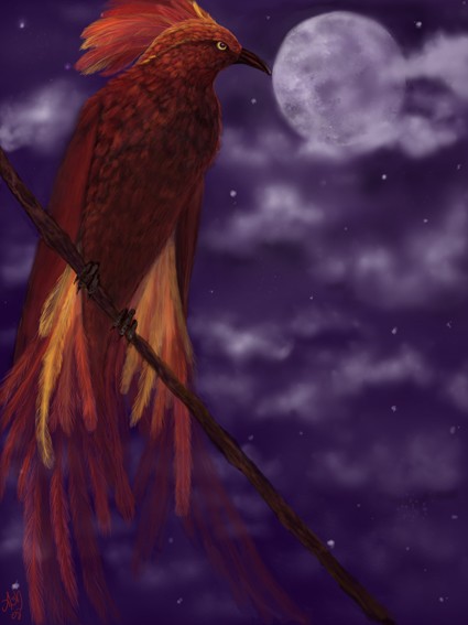 Phoenix Moon
