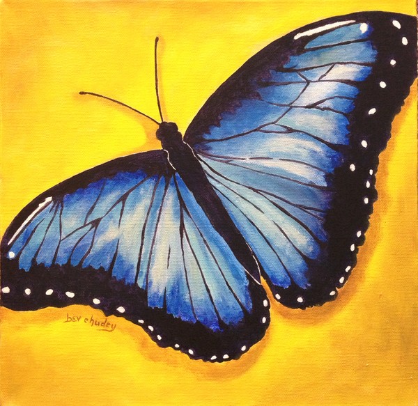 Blue Morpho