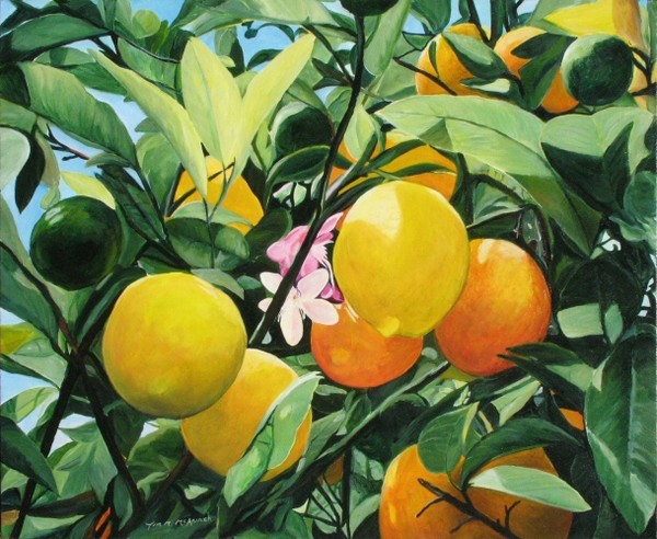 Living in the Garden
