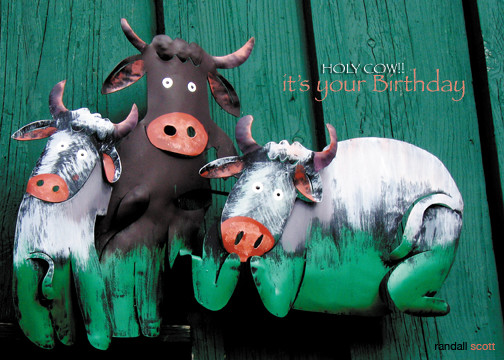 Holy Cow!! It's your birthday.