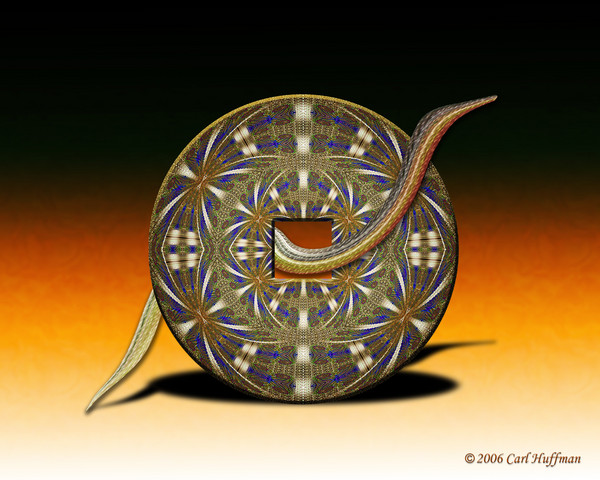 Circle and Square Center