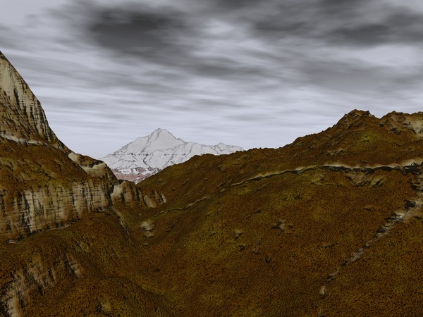 Landscape