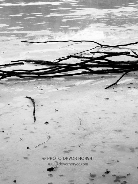 Abstract No1